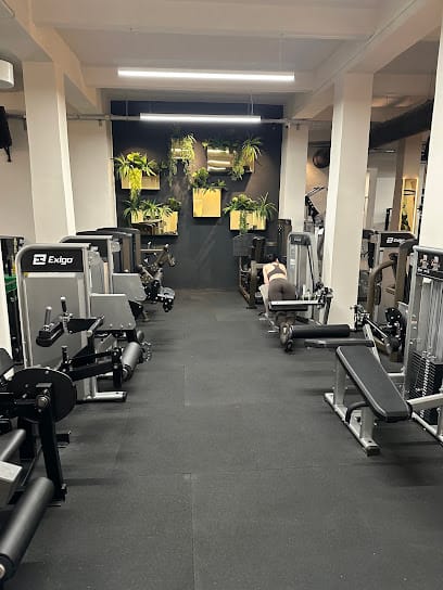 4% Fitness Candyland - Gym, District 7