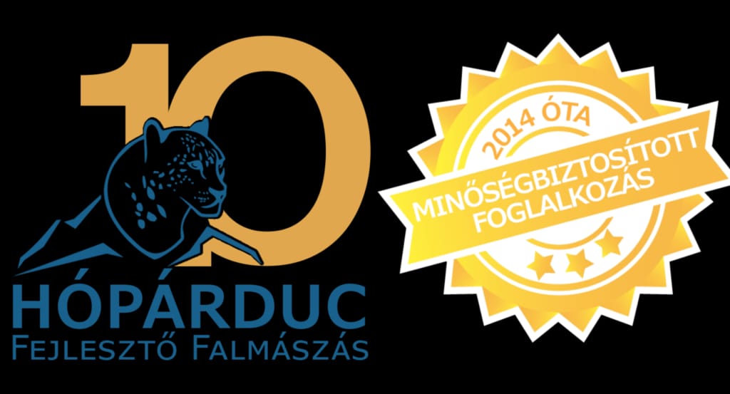Hópárduc Fejlesztő Falmászás - Gym, District 11 (2)