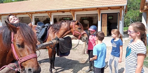 Ci-Fra Lovasiskola, Lovarda és Tanyaudvar - Gym, District 10 (3)