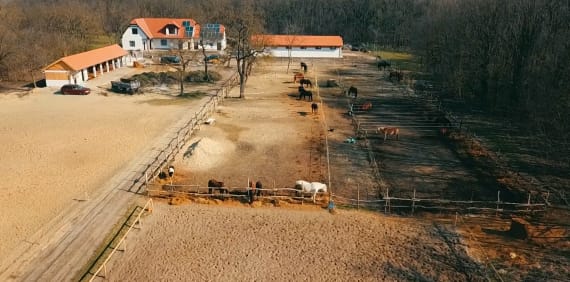 Ci-Fra Lovasiskola, Lovarda és Tanyaudvar - Gym, District 10 (4)