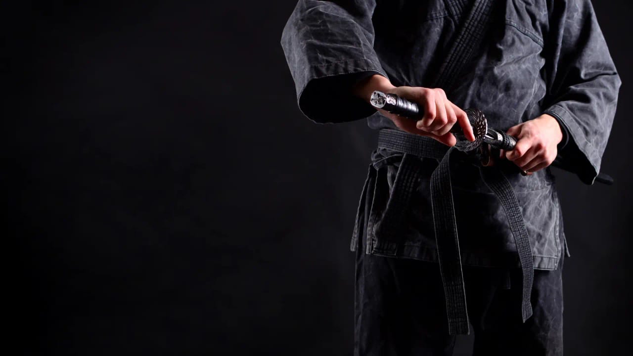 Bujinkan Seijin Dojo - Ninjutsu edzések Budapesten - Gym, District 8