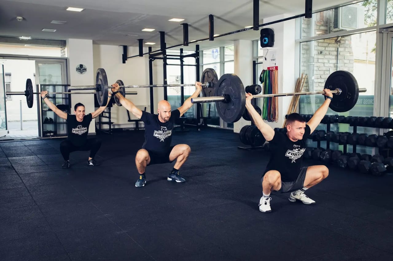 FORTIUS GYM - Gym, District 4 (4)