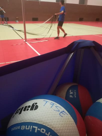 TFSE Vívószakosztály - Gym, District 12