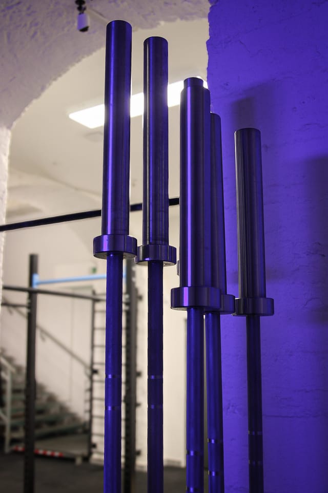 Bos Gym - Gym (2)