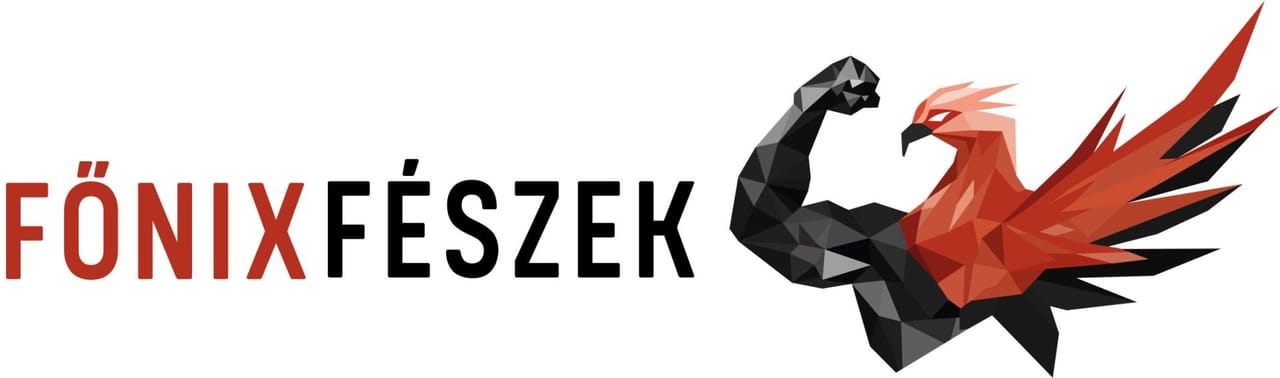 Főnix Fészek Edzőklub - Gym, District 11 (4)