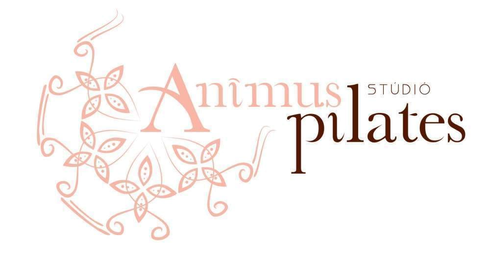 Animus Pilates Studio Budapest - Funkcionális, 5. kerület (3)