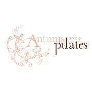 Animus Pilates Studio Budapest