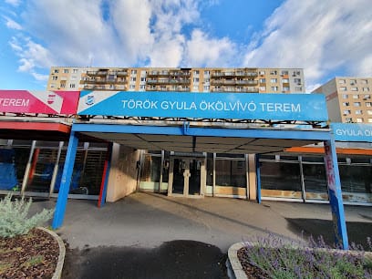 Török Gyula Ökölvívó Terem - Konditerem, 19. kerület