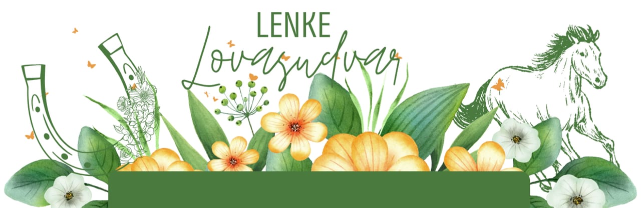 Lenke Lovasudvar - Lovarda, 18. kerület (3)