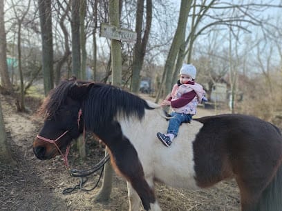 Szilágyi Farm - Kamaraerdei Lovasiskola - Lovarda, 11. kerület