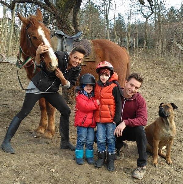 Kamaraerdei Lovarda - Lovarda, 11. kerület (5)