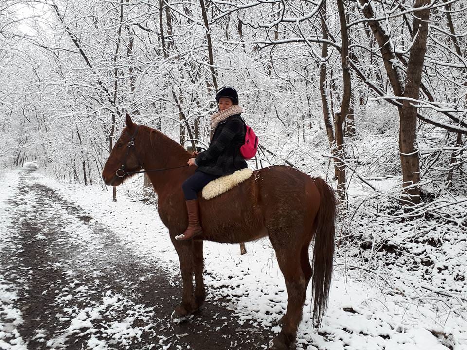 Kamaraerdei Lovarda - Lovarda, 11. kerület (6)