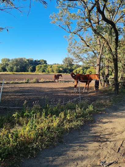 Palotai Sport- és Versenyistálló - Horse riding, District 15