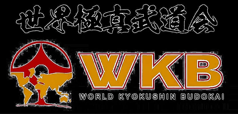 Seishin Dojo (Felnőtt) - Kyokushin Karate - Gym, District 20