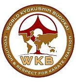 Seishin Dojo (Felnőtt) - Kyokushin Karate