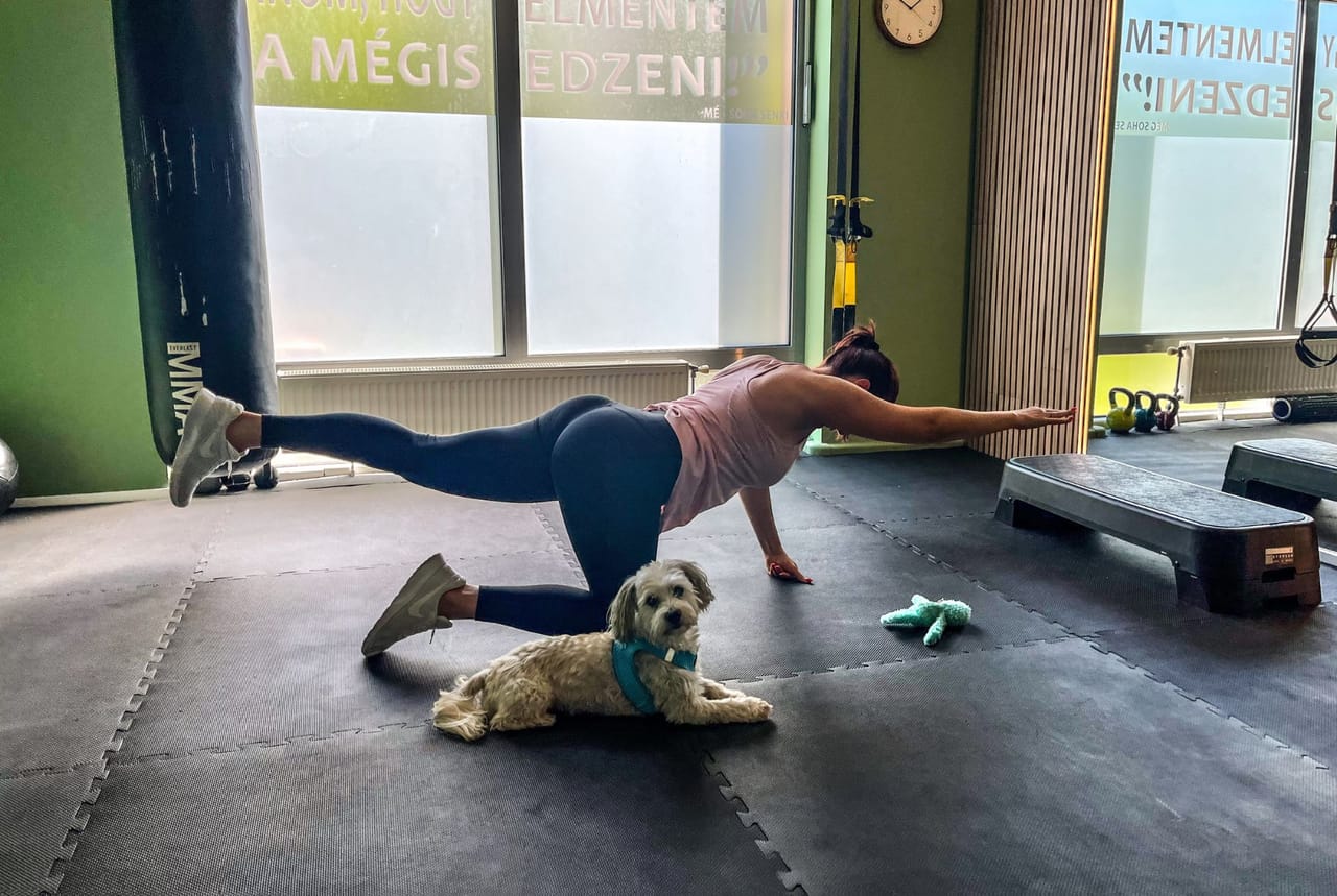Fitnext Alakformáló Studio - Konditerem, 4. kerület (3)
