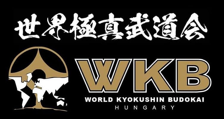 Seishin Dojo (Gyerek) - Kyokushin Karate - Gym, District 18 (2)