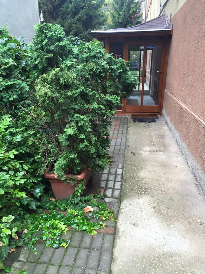 Hűvösvölgyi Karateakadémia - Martial arts, District 2 (2)