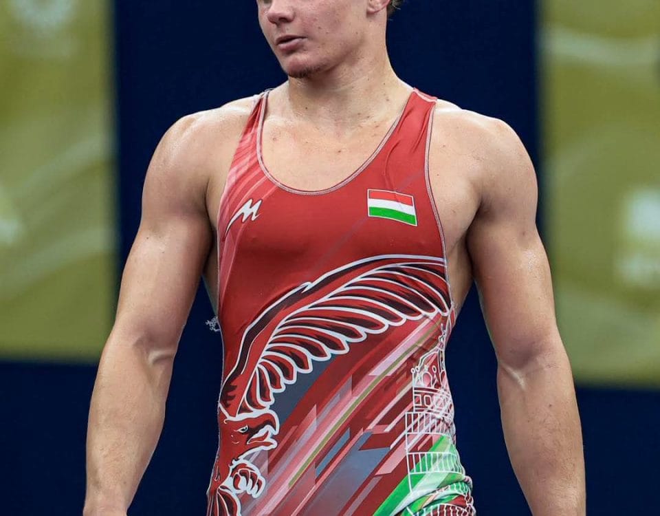 Ute Birkózó Csarnok - Gym, District 4 (5)