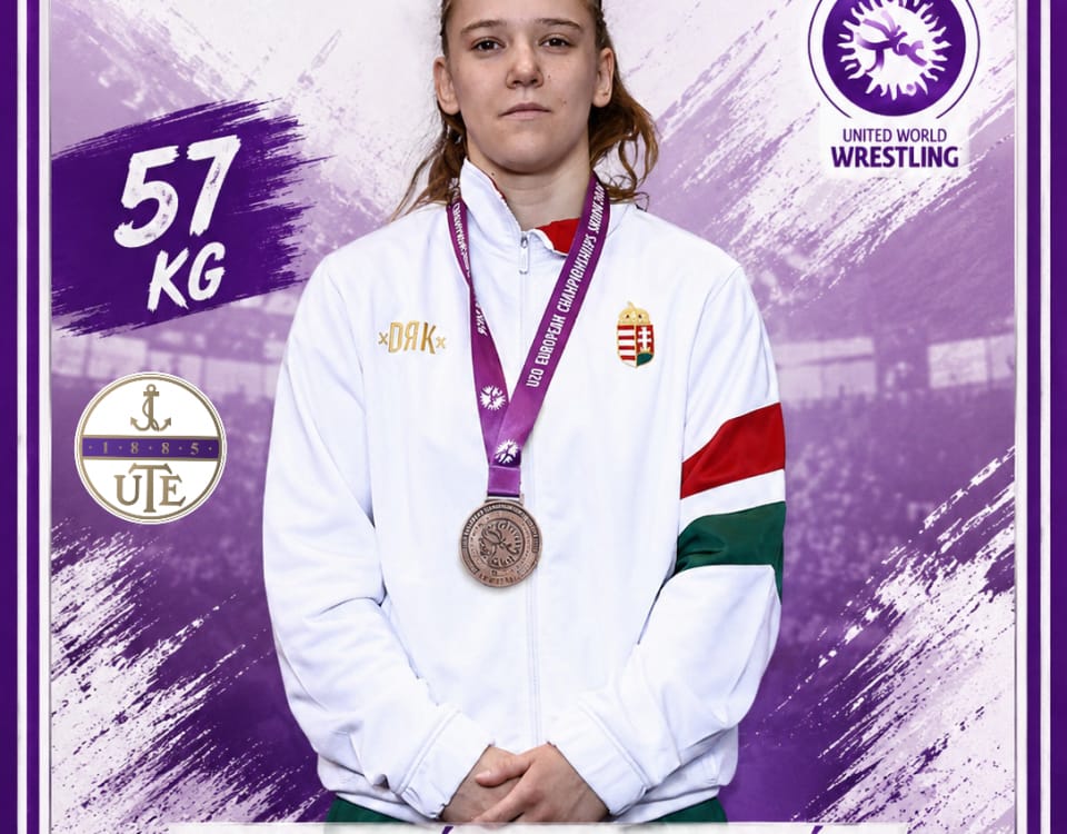 Ute Birkózó Csarnok - Gym, District 4 (6)