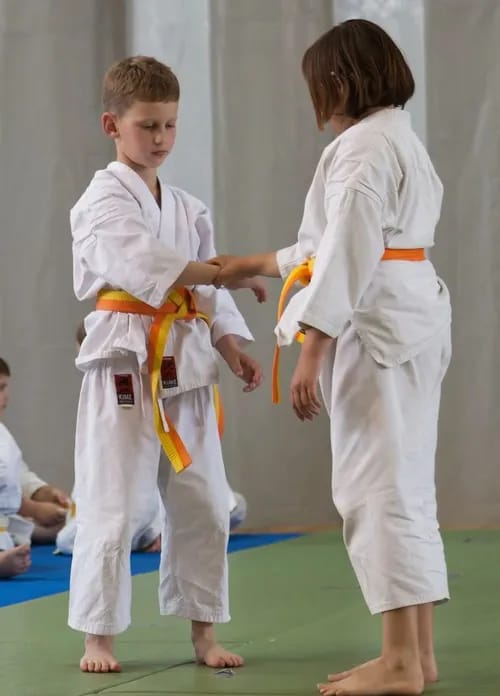 Yurusu Aikido Dojo (XIII.kerület) - Yoga, District 13 (4)