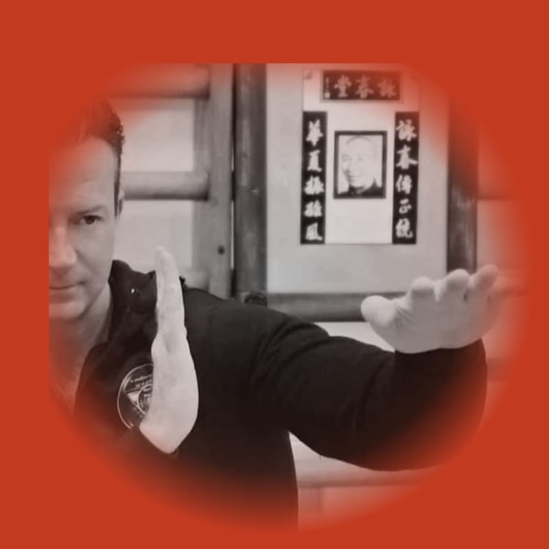 Dynamic Wing Chun Kung Fu - XVII. Kerület - Jóga, 17. kerület (3)