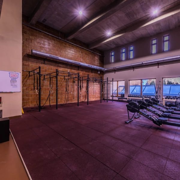 CrossFit B'Bros 2. - Gym, District 9 (5)