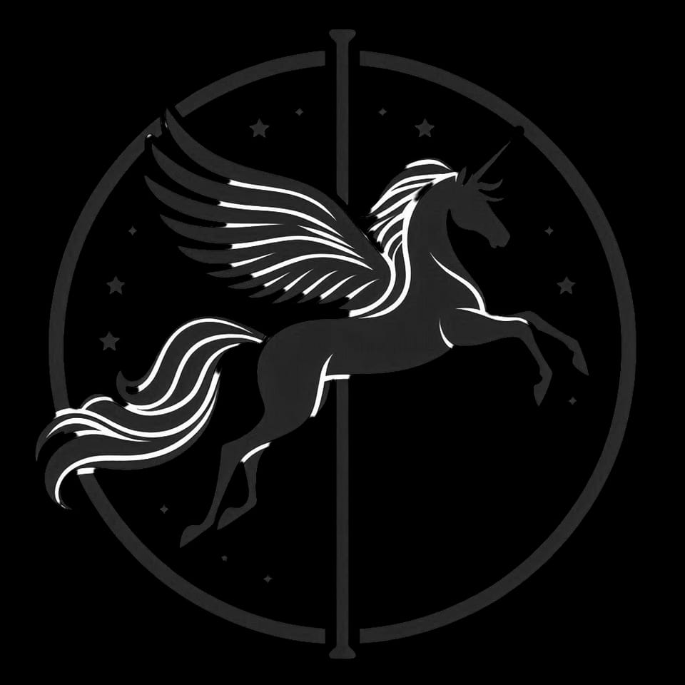 Pegasus Flydance - Gym, District 16