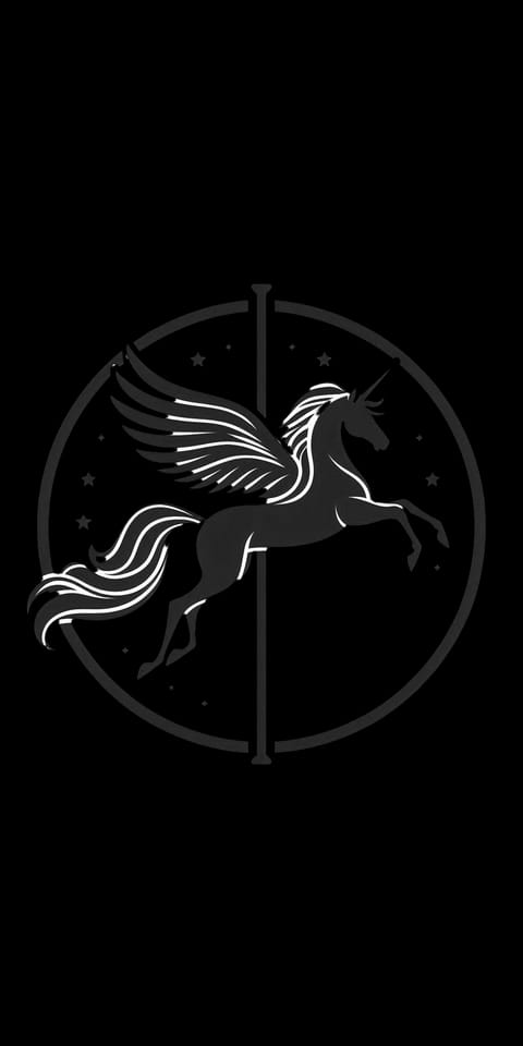 Pegasus Flydance - Gym, District 16 (2)