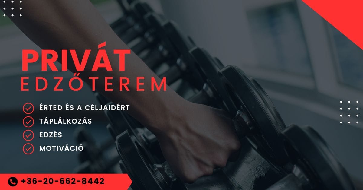 Personal Gym - Privát személyi edzőterem - Gym, District 9 (2)