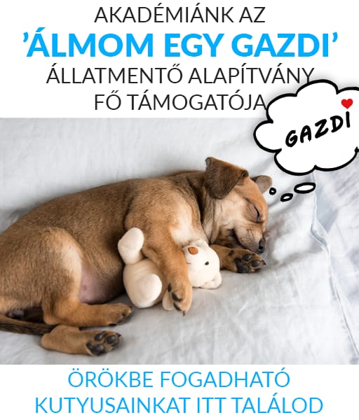 Feövenyessy Gerinc- és Sportrehabilitációs Központ - Személyi edzés, 9. kerület (3)