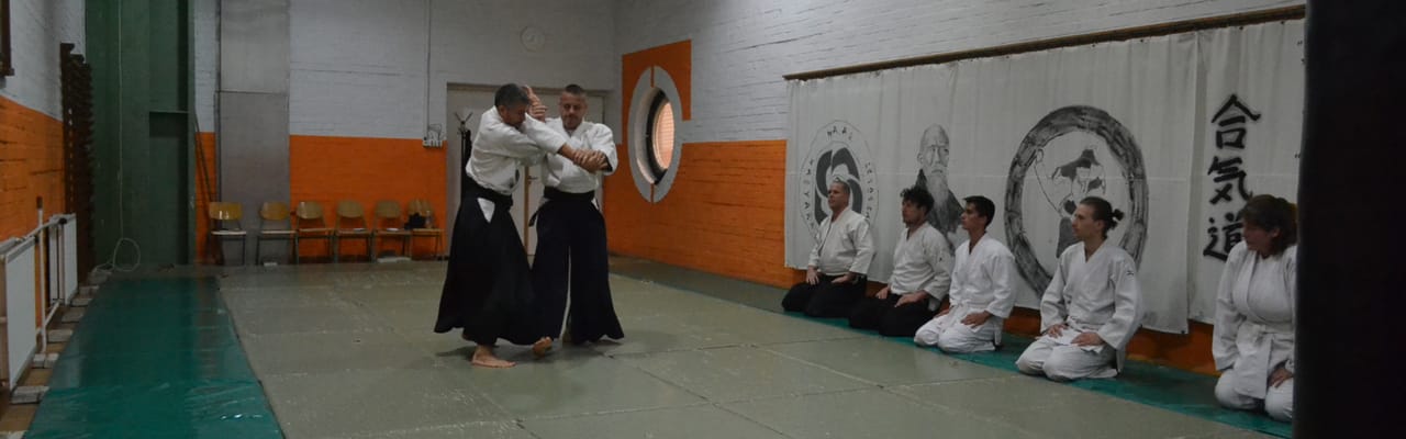 Magyar Aikikai Aikido Egyesület - Harcművészet, 9. kerület (2)