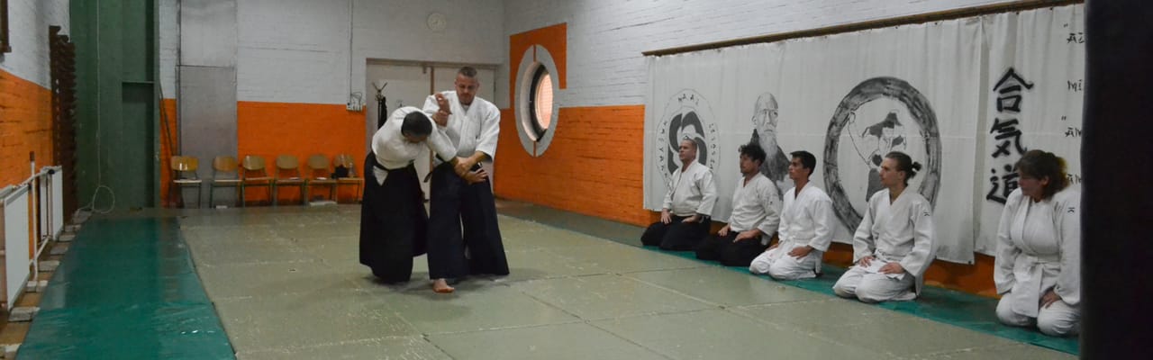 Magyar Aikikai Aikido Egyesület - Harcművészet, 9. kerület (3)