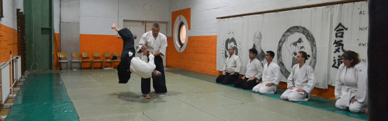 Magyar Aikikai Aikido Egyesület - Harcművészet, 9. kerület (4)