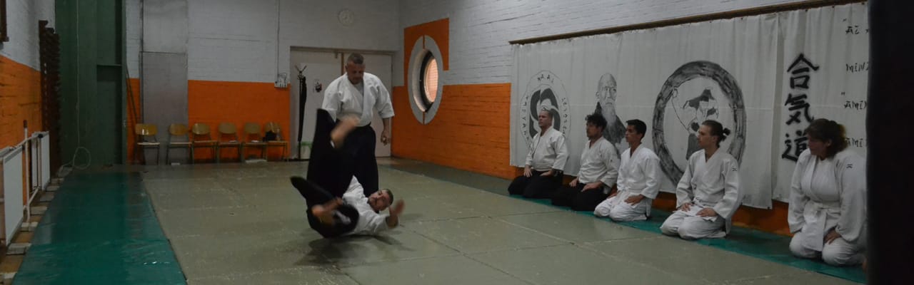Magyar Aikikai Aikido Egyesület - Harcművészet, 9. kerület (5)
