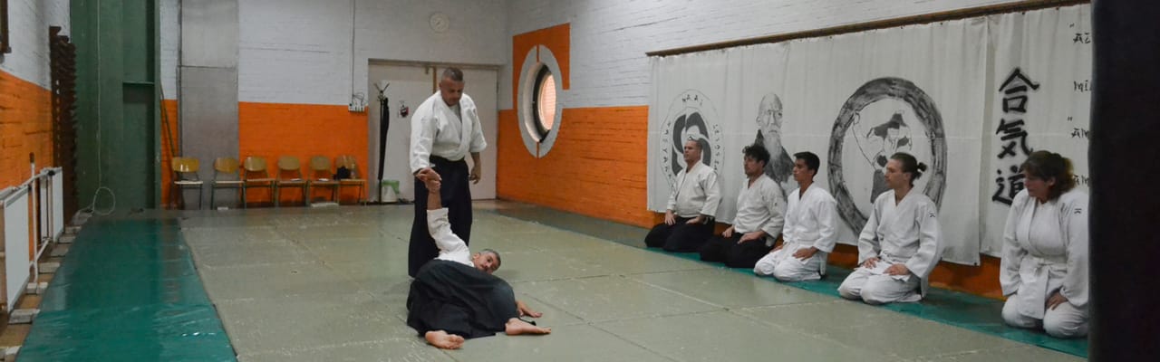 Magyar Aikikai Aikido Egyesület - Harcművészet, 9. kerület (6)