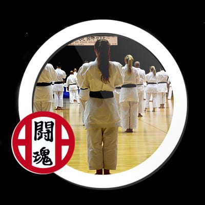 Shitokai Hungary Karate-Do Honbu Dojo - Központi Edzőterem - Martial arts, District 4 (4)