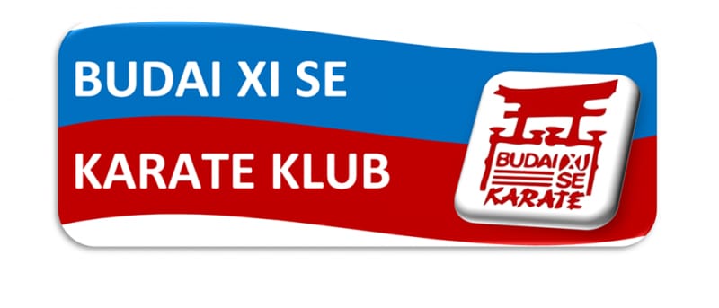 Budai XI Karate - Martial arts, District 11 (4)