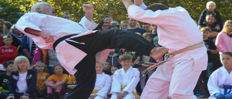 Budai XI Karate - Martial arts, District 11 (5)