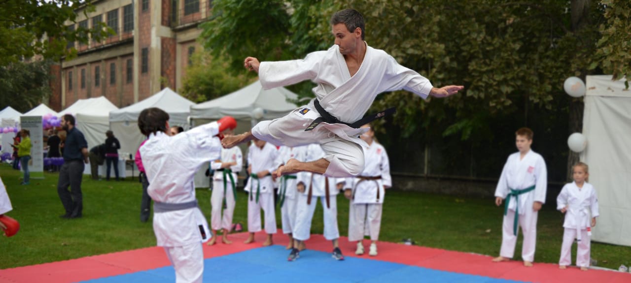Budai XI Karate - Martial arts, District 11 (6)