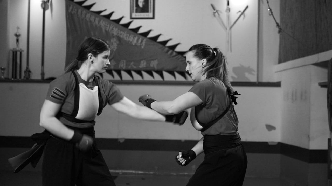Kung-Fu Akadémia - Gym, District 2
