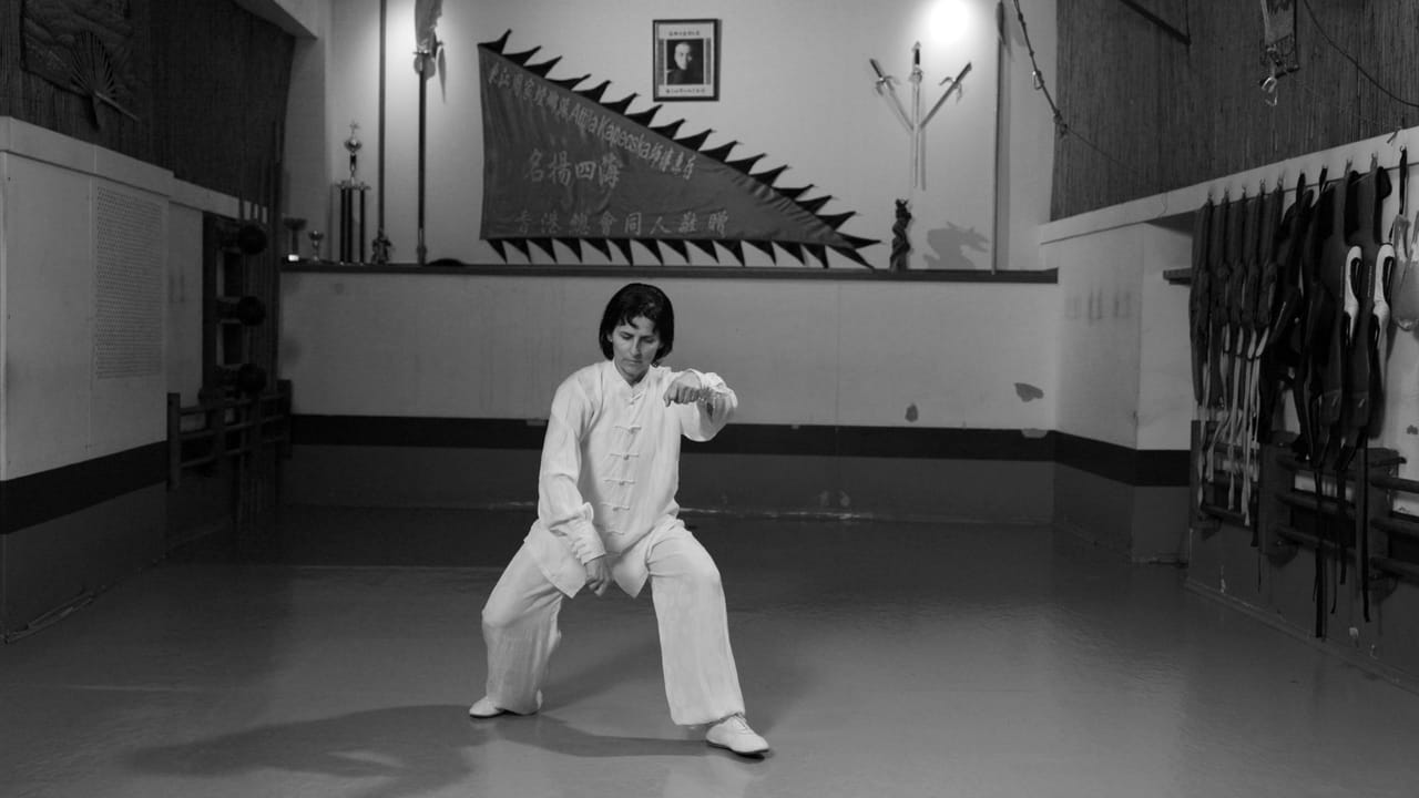 Kung-Fu Akadémia - Gym, District 2 (2)