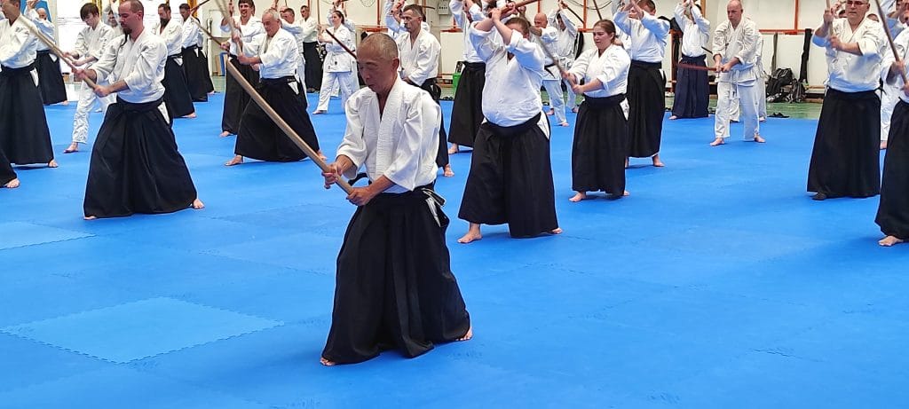 Aikido Budapest Musubi dojo - Harcművészet, 11. kerület (2)