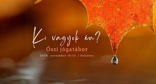 JÓGA21 - Jóga, 2. kerület (5)