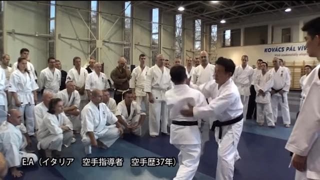 Soshinkan Bujutsu Karate Harcművészet - Gym, District 8 (2)