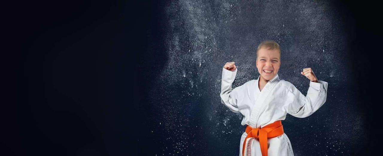 IKUEIKAN HONBU DOJO - Konditerem, 18. kerület