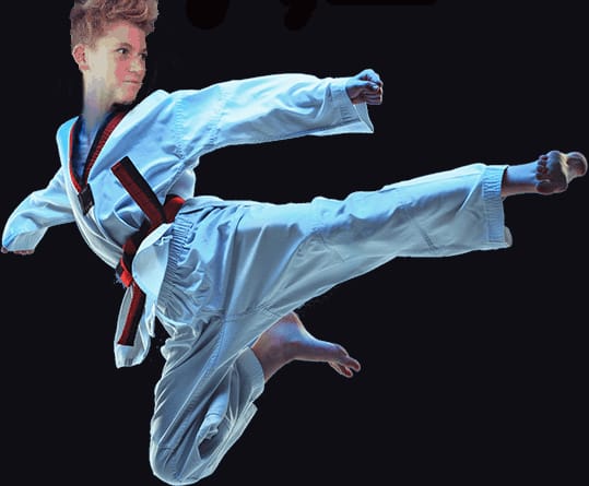 IKUEIKAN HONBU DOJO - Konditerem, 18. kerület (4)