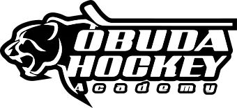 Óbudai Jégcsarnok