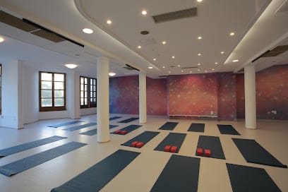 Birds of Paradise - Yoga, District 1