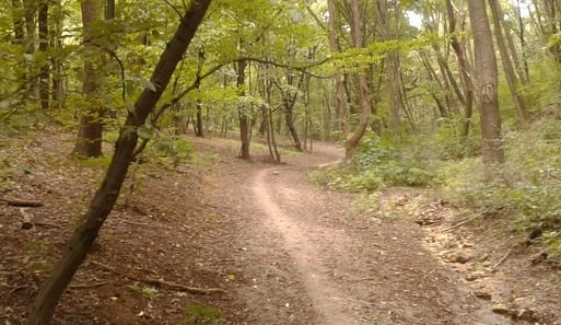Normafa kondipark - Konditerem, 12. kerület (2)